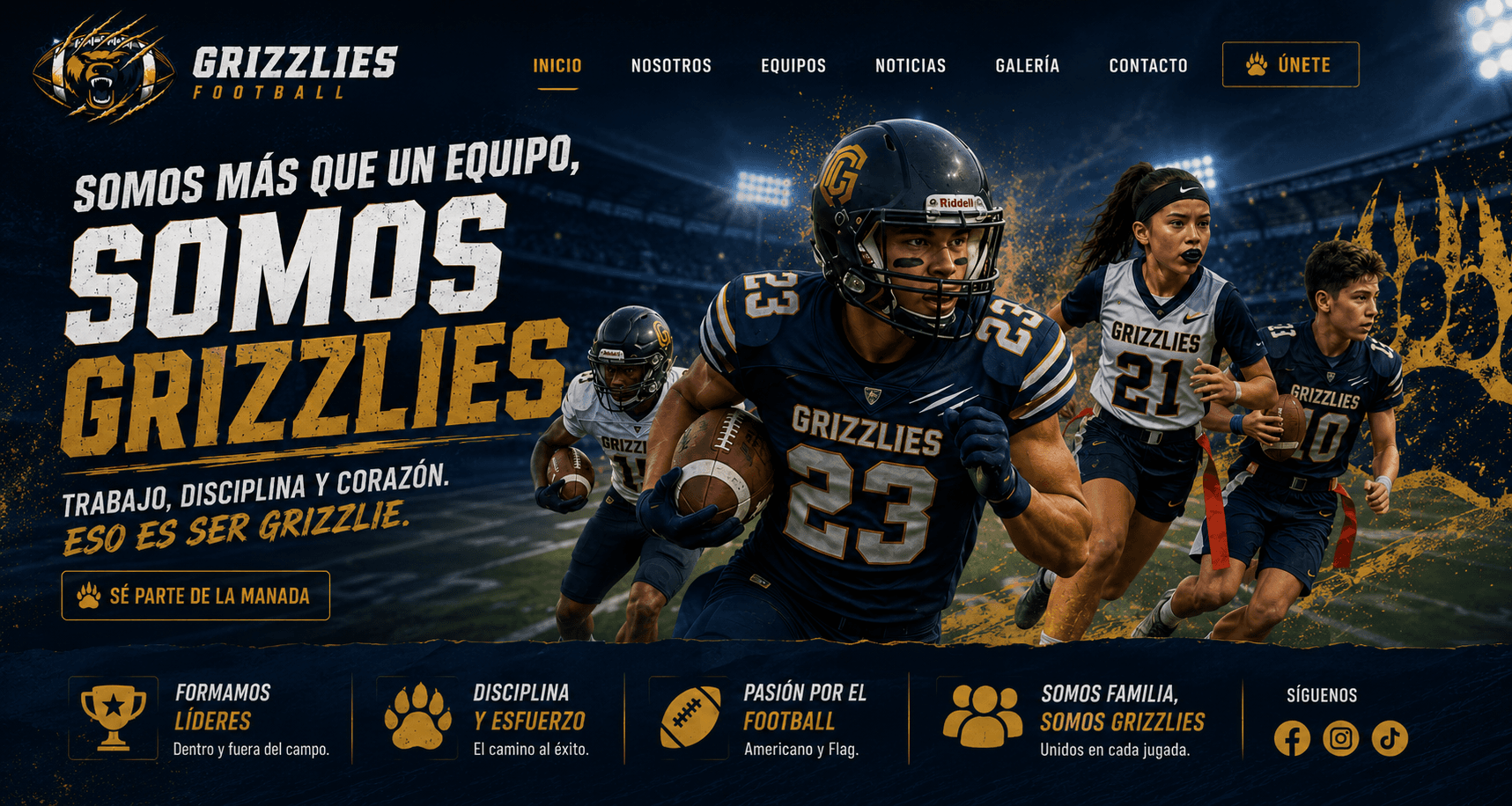Grizzlies Background